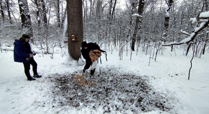 Lefagyott a lakat, előkerült a flex, kalandossá vált a diákok jóakarata az erdőben