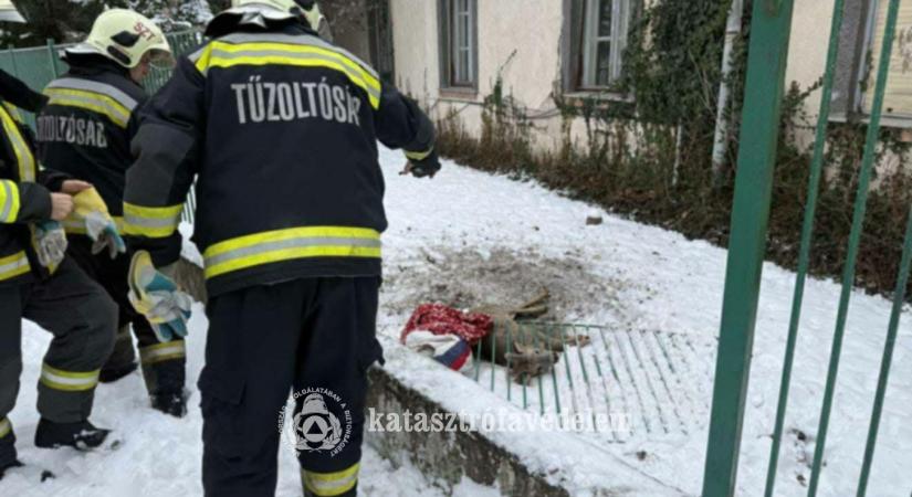 Őzet mentettek a tűzoltók Szentesen