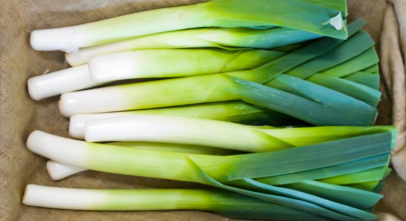 Ömlik be az import hagyma ezekre a piacokra: nem akárhonnan érkezik