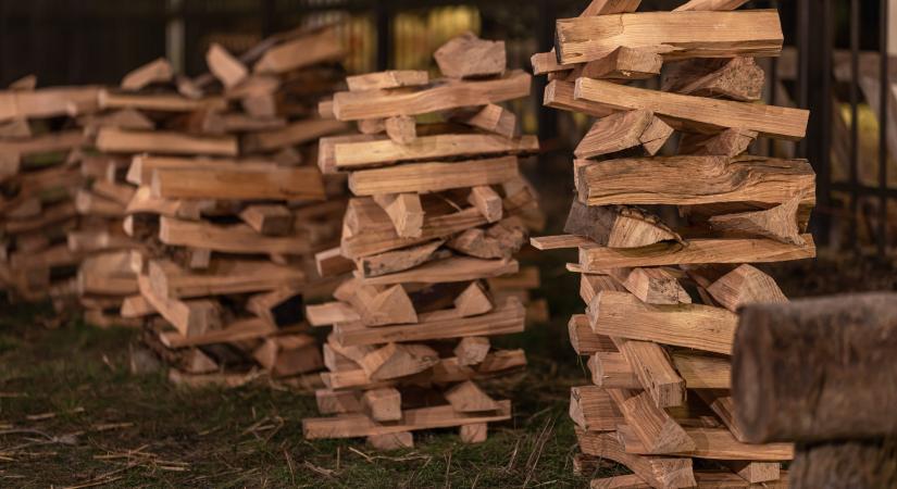 Ingyen tűzifát ad az állam