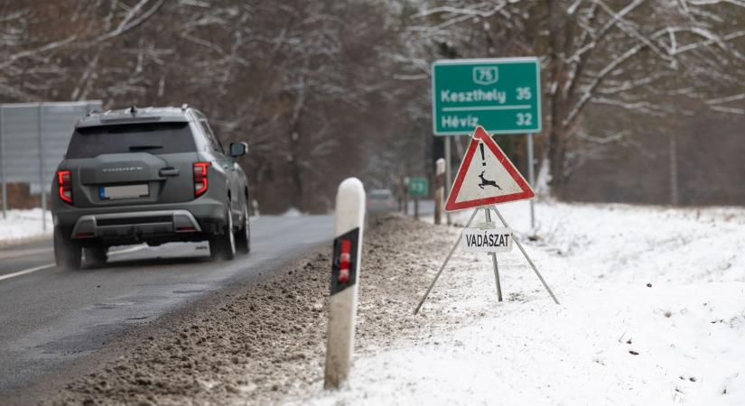 A zalai rengetegek veszélyei – Ezért ne menj most az erdőbe!