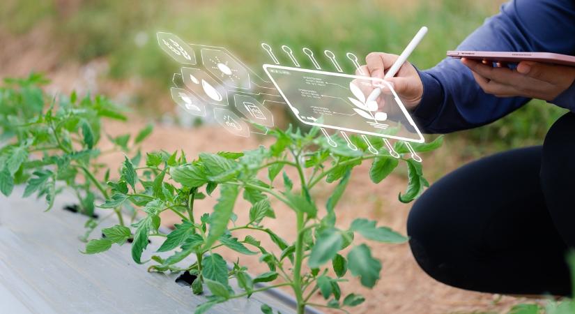 Agrártrendek 2026: fókuszban a generációváltás és a talajvédelem