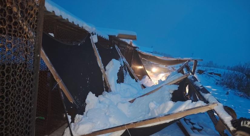 Összetört a Kutyatár kennelsorának tartószerkezete a hó súlya alatt