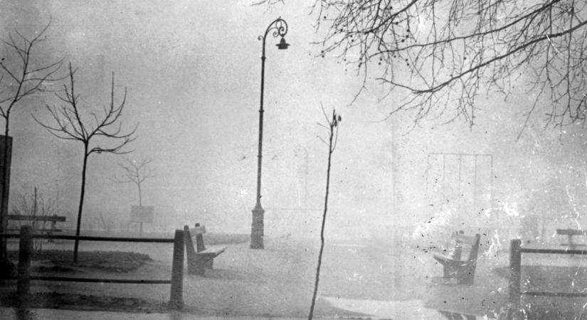 Bedő Adrienn: A főszerep – versek