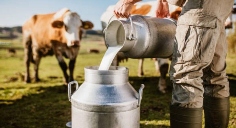 Svájcban is bajban vannak a tejtermelők