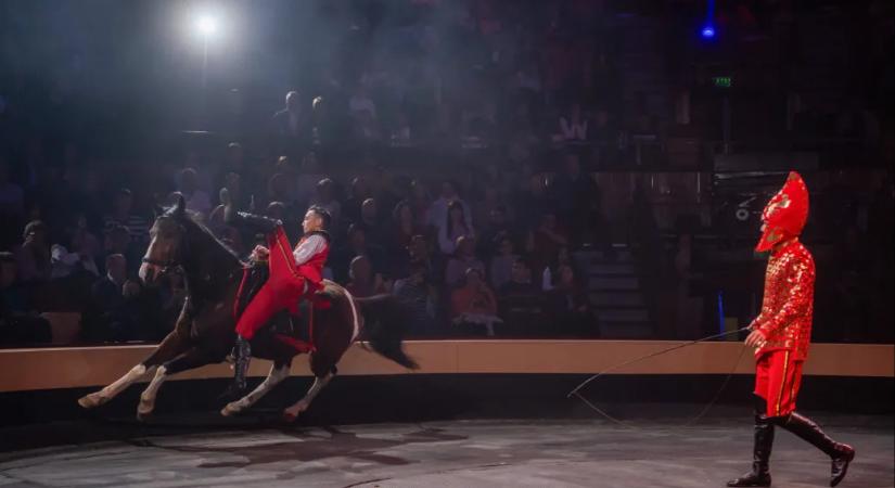 Nekiment a Fővárosi Állatkert a Fővárosi Nagycirkusznak, miután ismeretlen lovak és kutyák kerültek a nevükre