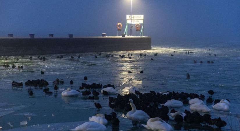 Téli idill a tihanyi révnél (veol.hu)