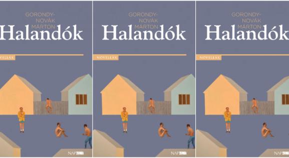 Mihez kezd több tucat adójogász egy uszodában? Olvasd el Gorondy-Novák Márton novelláját!