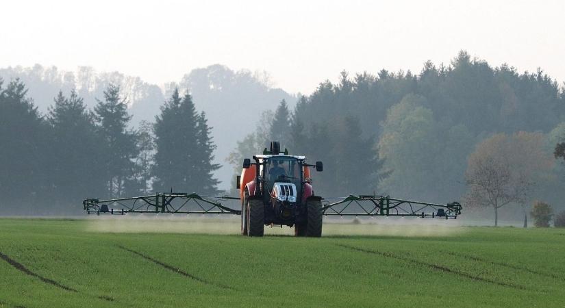 Mit kell felírni a növényvédelmi megfigyelések során?