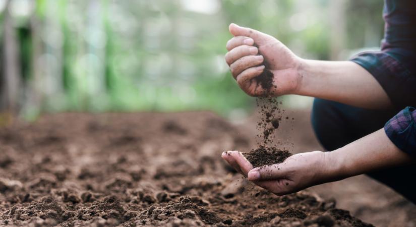 Vetés hidegben: itt a lista, ezeket a zöldségeket februárban is ültetheted