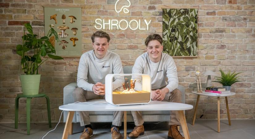 Hiába a neves befektetők, a közösségi finanszírozás és az elsöprő lendület: zátonyra futhatott az ígéretes magyar startup