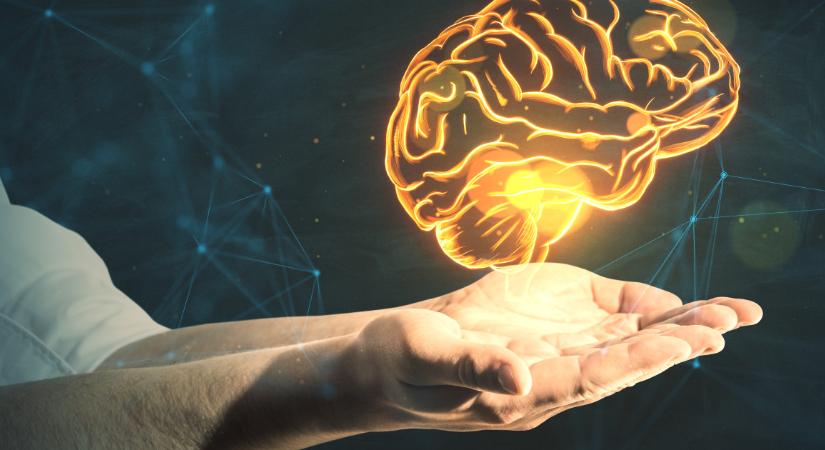 Egy zsíros étel csökkentheti a demencia kialakulásának kockázatát