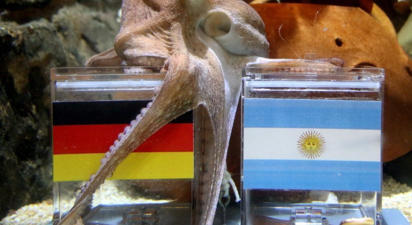 Ki nyeri a focivébét, a BL-t és a Super Bowlt? Meddig jutnak a magyar pólósok és kézisek? Teljesül-e Kubatov álma?