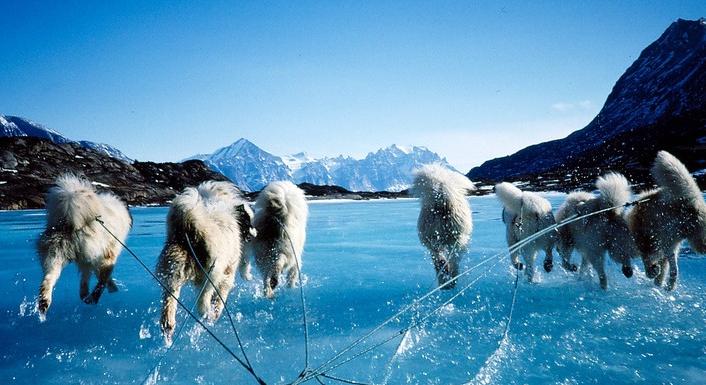 Az amerikaiaknak csak 17 százaléka támogatja Trump grönlandi terveit