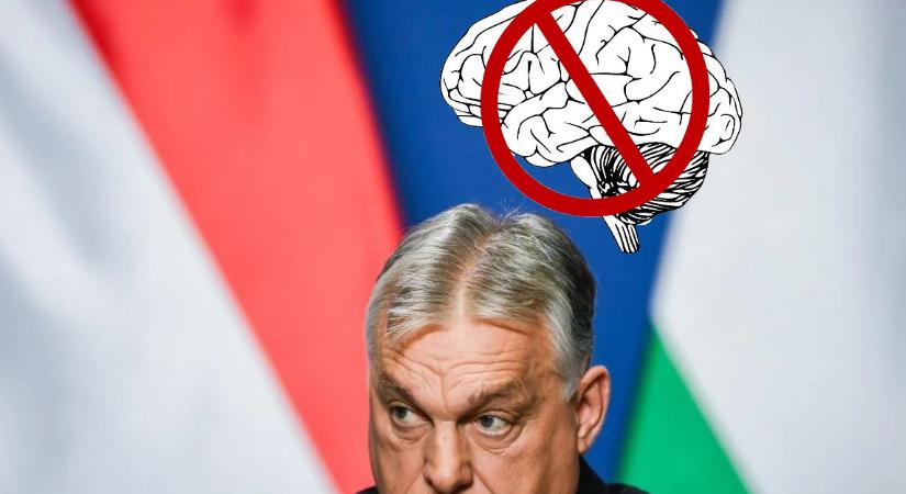 Sem tudás, sem intelligencia - Rózsa Péter jegyzete