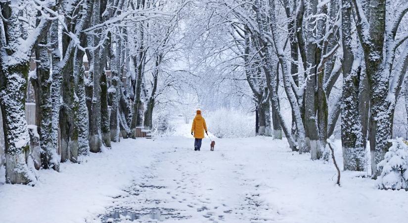 Ködbe burkolózik az ország – készüljünk csúszós meglepetésekre!