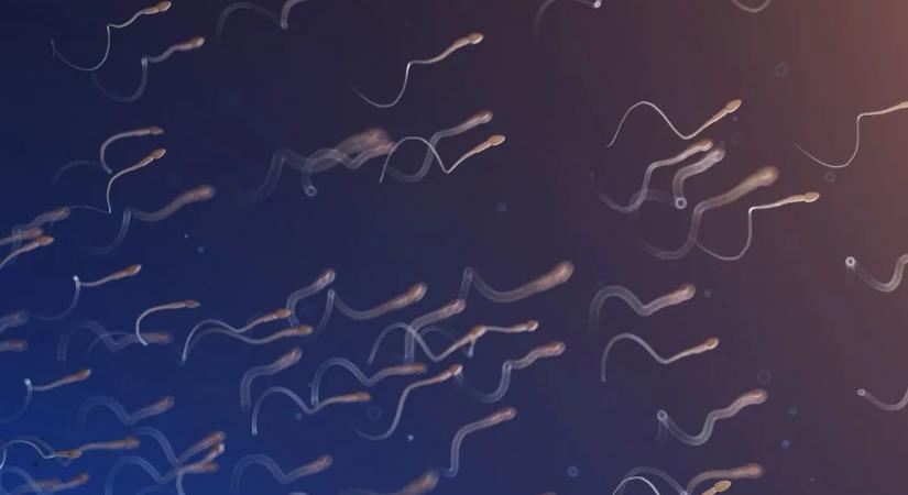 Sperma gyógyító hatása? Amit eddig csodaszernek hittek, az valójában komoly veszélyt rejthet