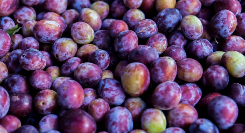 A németek behúzták: óriásit tarolnak ezzel a gyümölccsel