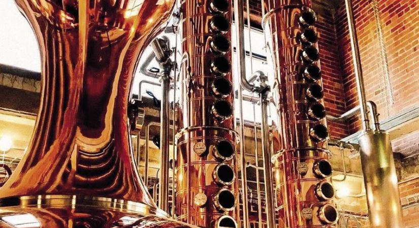 Zene formálta ízvilág: zseniális marketinghumbug