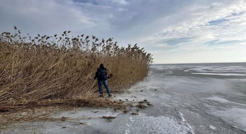 Beérett a várakozás gyümölcse, tíz év után újra arathattak!