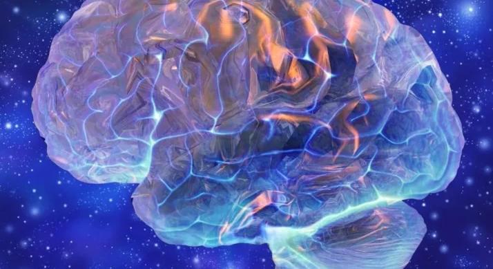 Jósló agy – Új felfedezés a társas viselkedés hátteréről