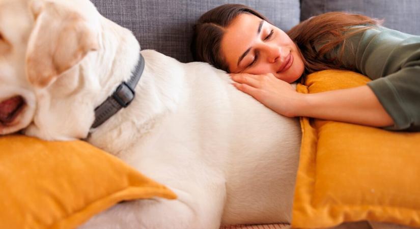 Kiderült, miért érezzük magunkat boldogabbnak egy rövid alvás után