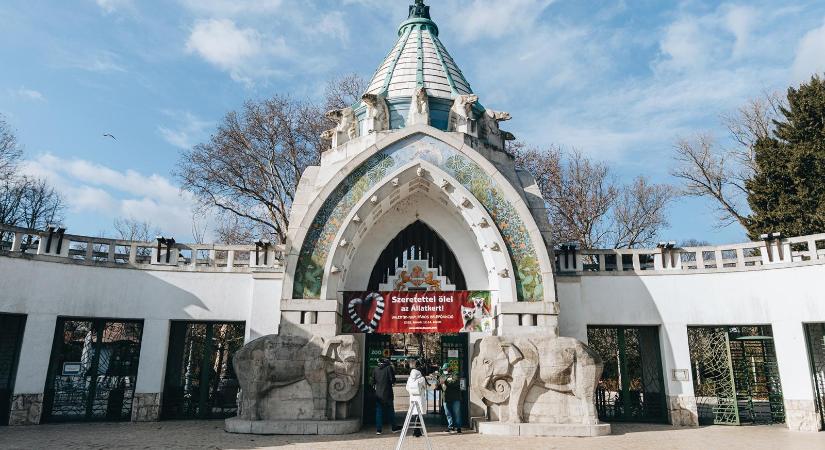 Kiakadt a Fővárosi Állatkert: ismeretlen lovak és kutyák kerültek a nevükre a Fővárosi Nagycirkusz megrendelésére
