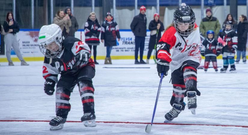 Elúszott a tatabányai jégcsarnok, addig packázott az egyesületettel az önkormányzat