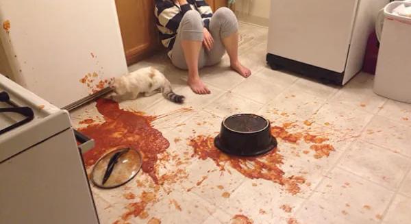 Ételek, amik nem a terv szerint sikerültek II. – A nap képe