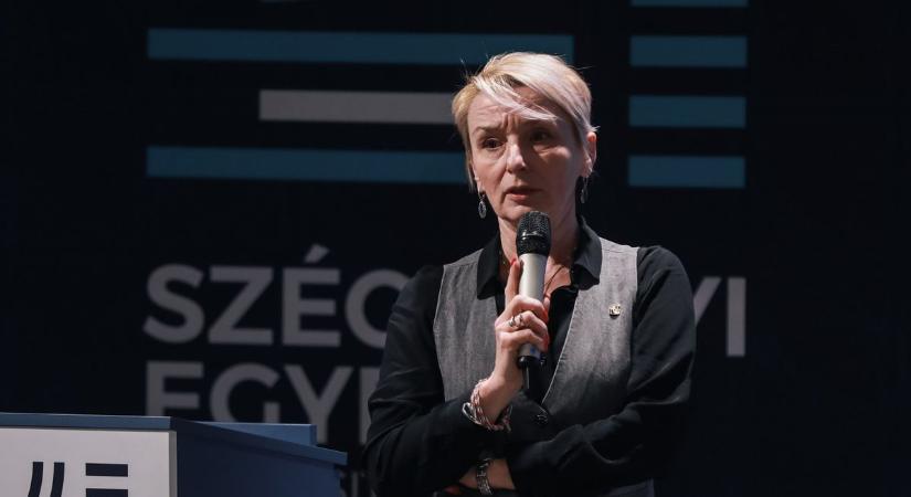 Győr térfoglalásáról értekeztek - fotók