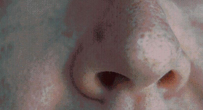 Pusztító bűz miatt több házat is kiürítettek Hajdúhadházon