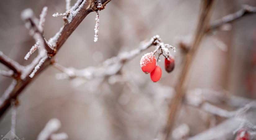 Ködbe burkolózik Győr
