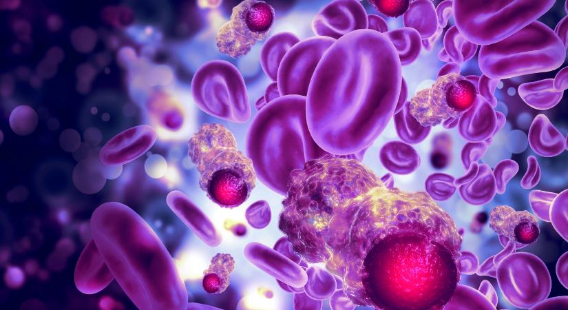 Metakognitív AI a leukémia diagnosztikájában