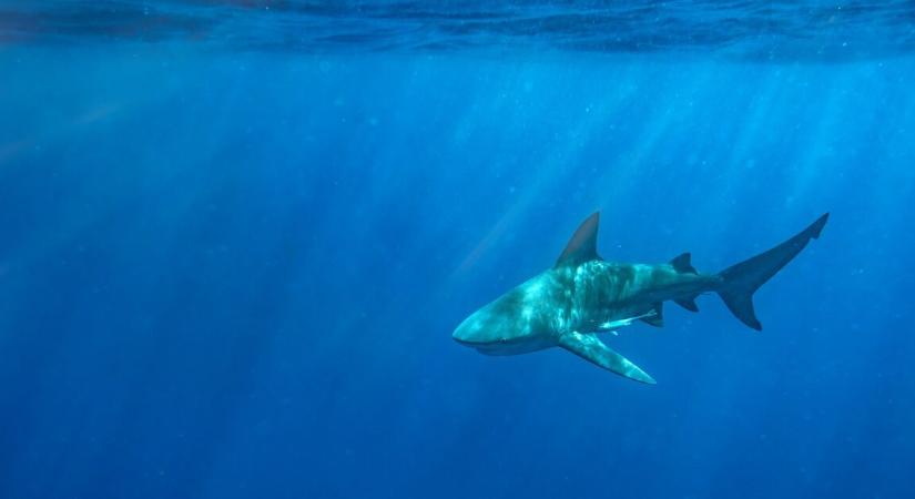 Még az orvosok sem hitték el, mit élt túl ez a 15 éves lány