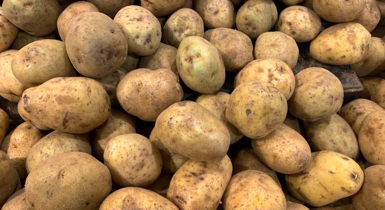 Krumpliosztás a németeknél