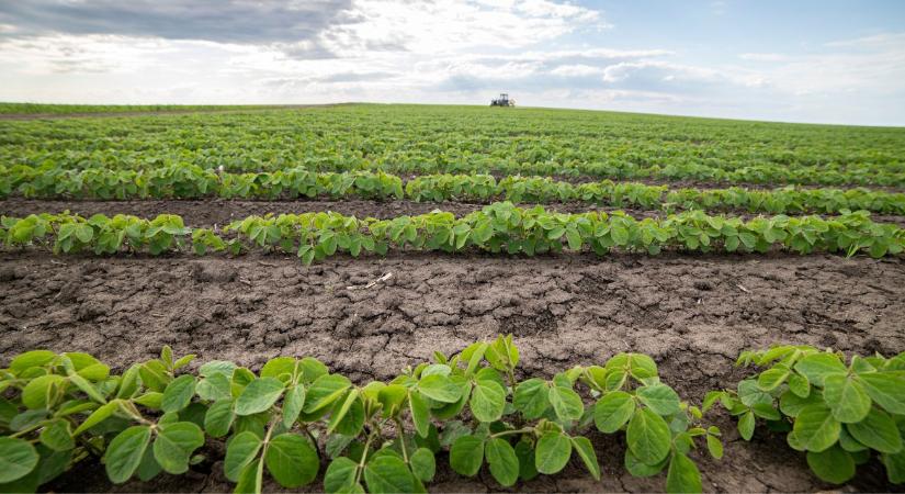 Stresszpontok szójában