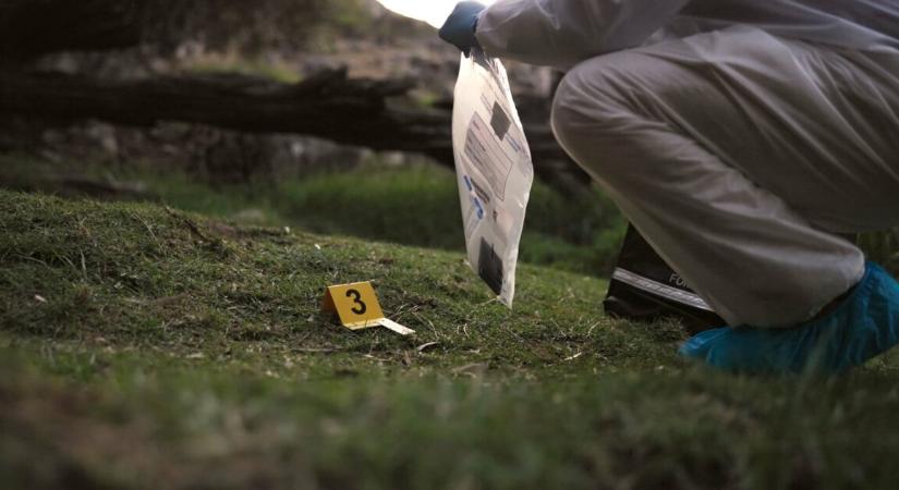 Holtan találtak rá az eltűnt tinédzserre – nagy erőkkel zajlik a nyomozás