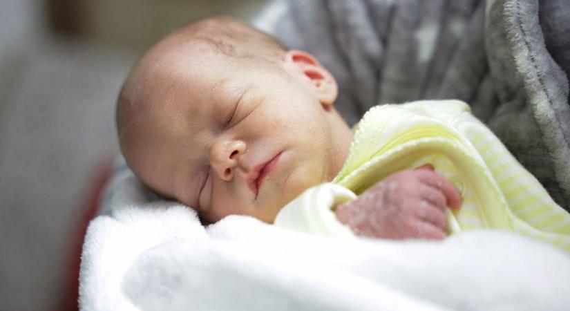 Ezek a nevek tarolhatnak 2026-ban – a sztárbabák mindent átírnak