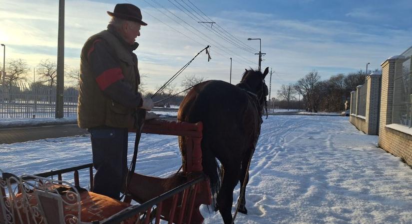 Végre elég hó esett ahhoz, hogy a lovasszán újra járja Szeged utcáit: még a gyerekek is kipróbálhatják – videóval