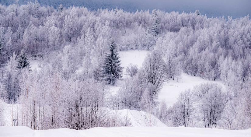 Visszatér a kemény fagy: havas esőre, jegesedésre és szélre figyelmeztetnek