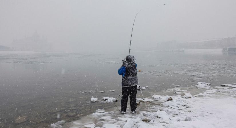 Jó hír a horgászoknak! – a 2026-os állami horgászigazolványok már elérhetők