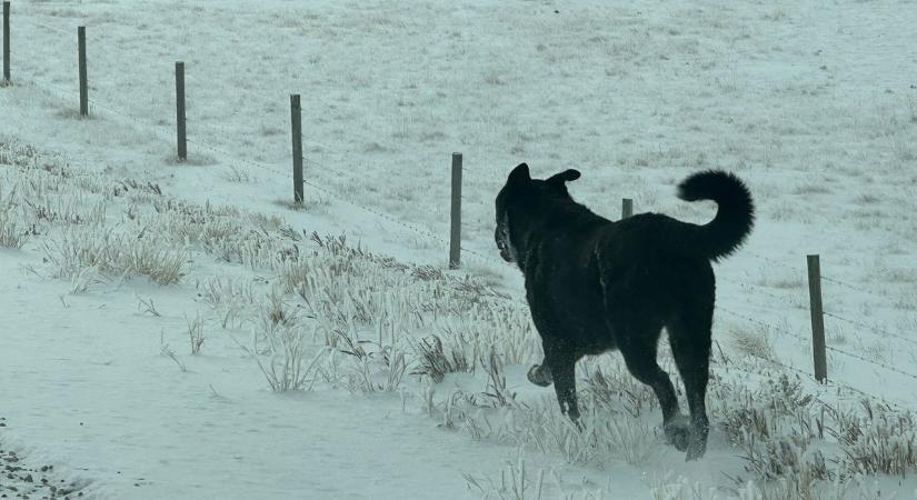 Már senki sem hitte, hogy élve előkerül ez a két szökevény