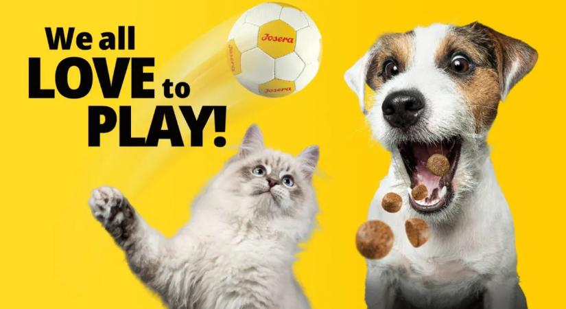 Kézilabda Európa-bajnokság: nemzetközi jelenlét és hazai újdonság a Josera Petfood-tól