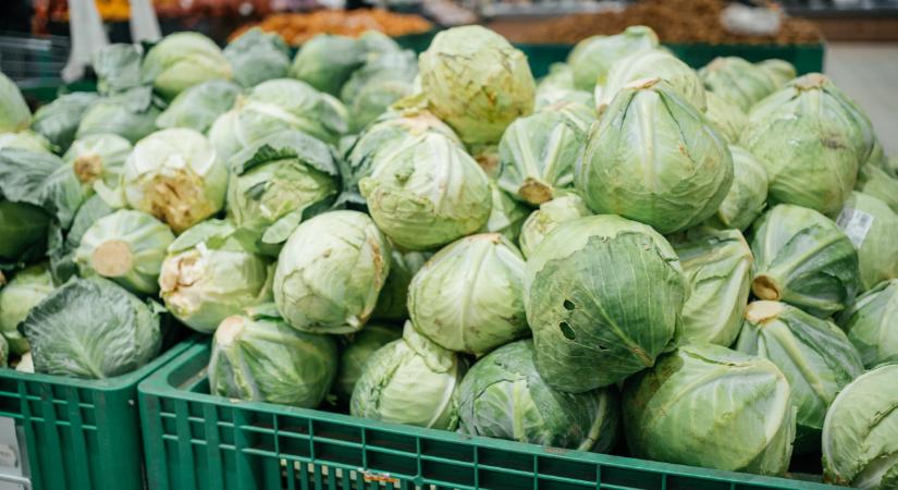 Itt már ingyen osztogatják a káposztát: őrület, mi áll a háttérben