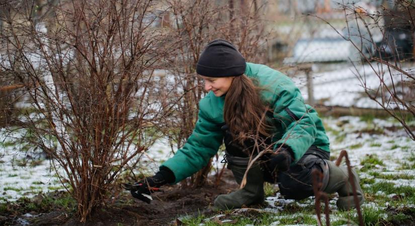 Amit most megteszel a kertedért, tavasszal látványosan visszakapod