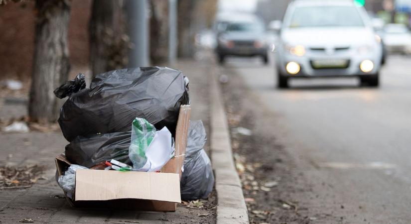Valami mocorgott az út szélén magára hagyott dobozban – videó