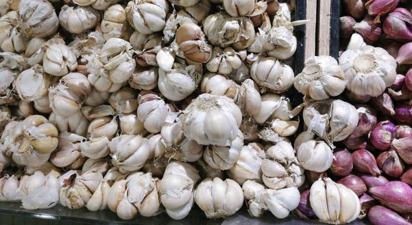 Elárasztják az uniós piacot fokhagymával – innen érkezik a legtöbb import