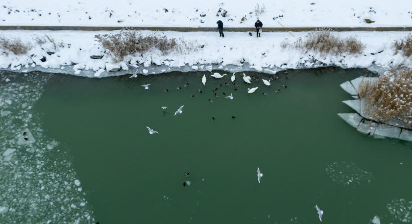 Elképesztő természeti csodát videóztak a Balatonban