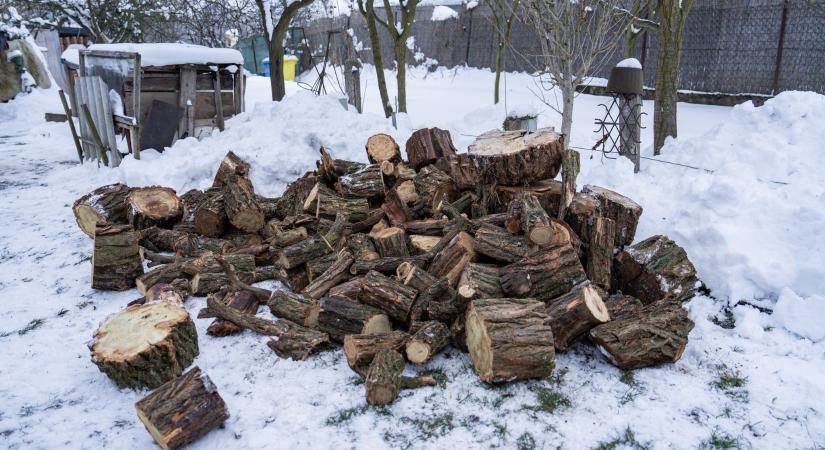 Márki-Zay: Mindenki kérje Orbán Viktort, hogy személyesen vigye ki neki az ingyen tűzifát