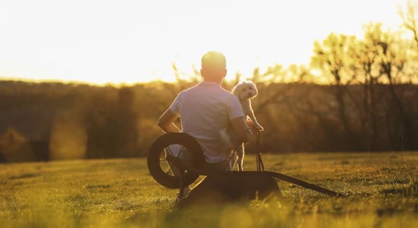 Miért választunk gyakran „hozzánk hasonló” állatot?